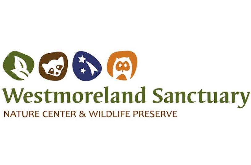TCM Client - Westmoreland Sanctuary