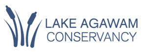 Lake Agawam Conservancy